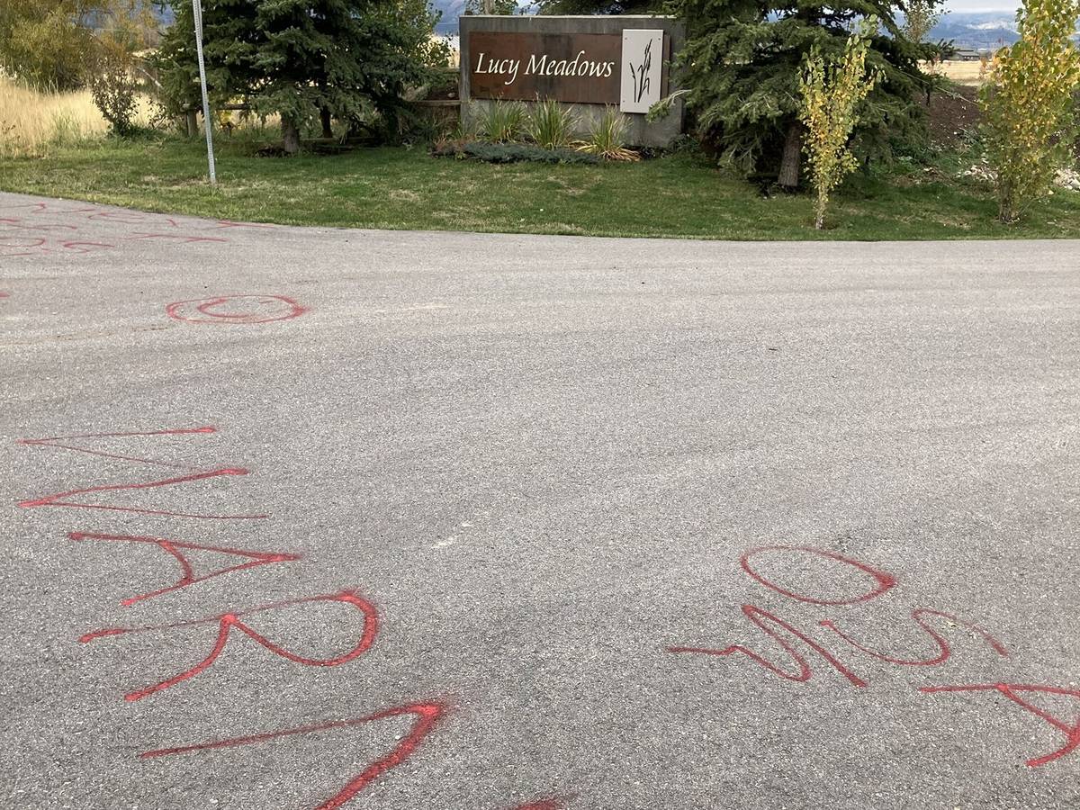 Part of the word "Warned" and the letters "OSA" spray-painted in red on a paved road in front of the Lucy Meadows subdivision sign.