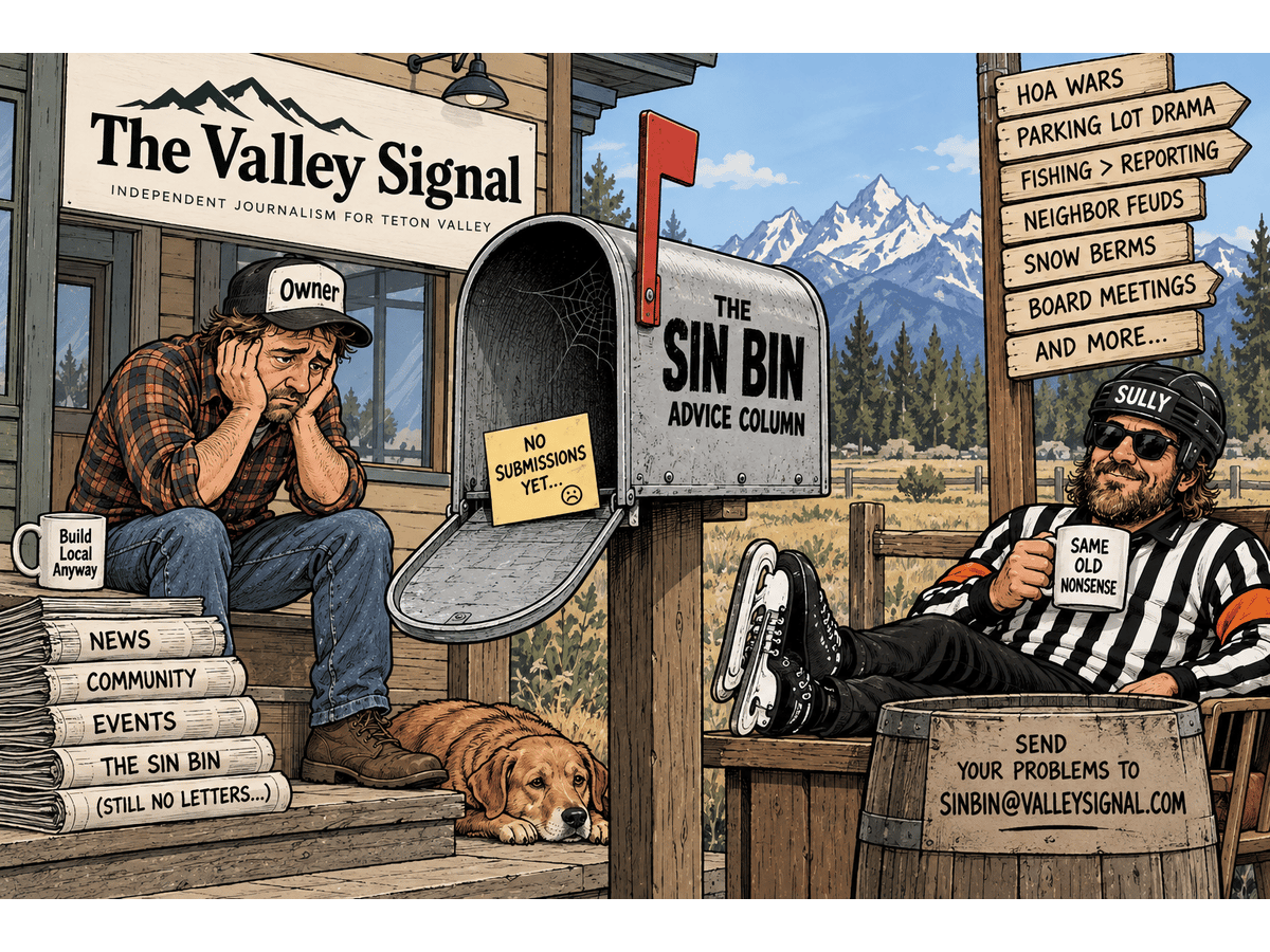 Sin Bin cartoon: a weary Valley Signal owner beside an empty mailbox reading "No submissions yet" as a referee lounges